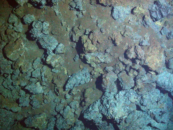 Hydrothermal vents begin to form beneath the seafloor where superheated water flows through cracks in the earth's crust.