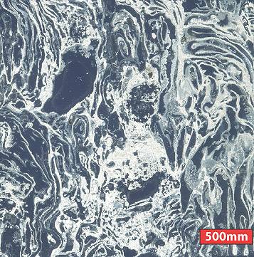 Microphotograph of Carbonate