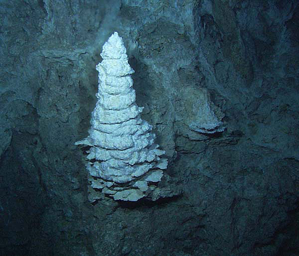 Beehive