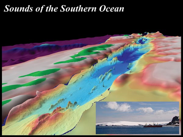 Three-dimensional perspective of the seafloor of the Bransfield Strait