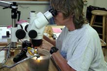 Susan Mills of the Woods Hole Oceanographic Institution examines a settlement block under a microscope. 