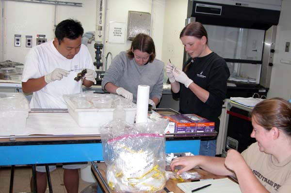 Walter Cho, Sarah L'Heureux, Rhian Waller and Kate Buckman, all of the Woods Hole Oceanographic Institution, process specimens.