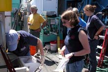 Rhian Waller and Sarah L'Heureux of the Woods Hole Oceanographic Institution retrieve specimens from the ROV Hercules.