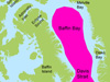 Narwhal wintering areas (pink) in Baffin Bay and Davis Strait.