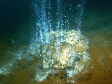 A high-temperature hydrothermal vent