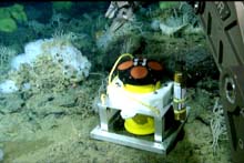 The ROV gently sets down one of the ADCP current meters used to measure the flow rate of the water on one of Davidson’s peaks.