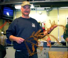 Andrew DeVogelaere holds a black coral specimen. 