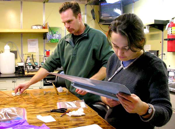 Erica Burton consults the collections protocol guide.