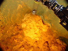 ROPOS ROV is sampling the iron-rich bacterial mat at a diffuse vent site on NW Eifuku submarine volcano.