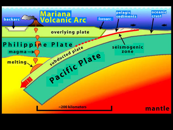 This illustration shows the Pacific plate in the east colliding with the Philippine plate in the west.