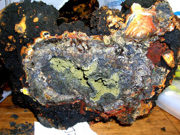 Cross section view of the base of one of the active chimneys recovered by Jason II at the 5 Towers vent field.