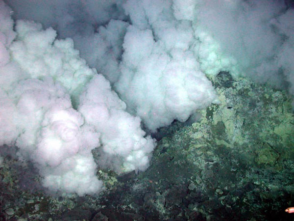 Small chimneys on the seafloor of Nikko caldera venting smoke that often impedes visibility.