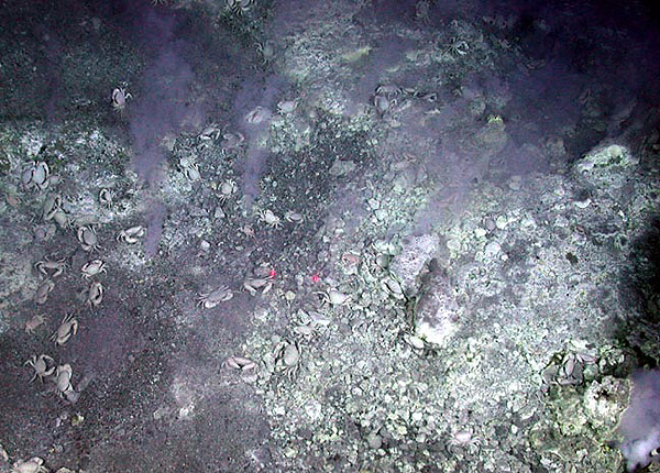 White smoke seeps out of the seafloor near the Cauldron sulfur pond.