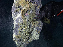 Jason holds up a large piece of sulfur crust that was sampled at Daikoku.