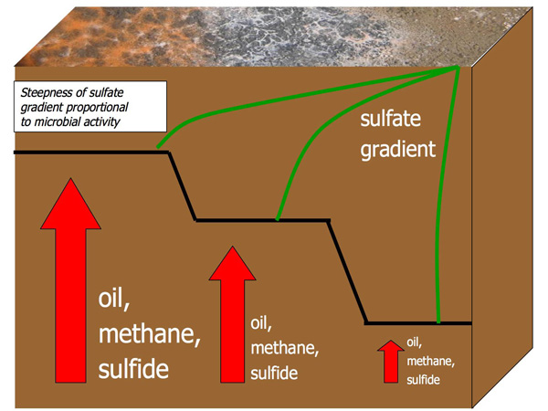 Fluxes of oil