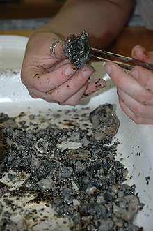 Oil-stained carbonate