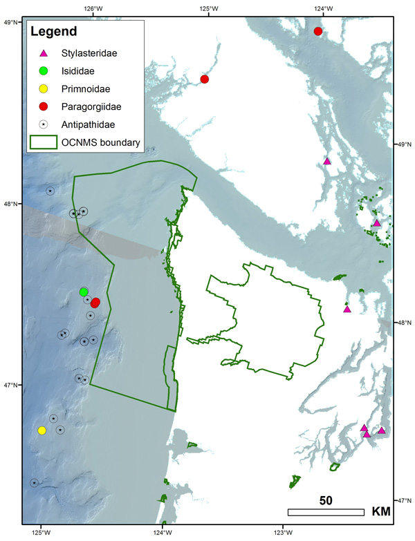 Deep Coral Habitat Map