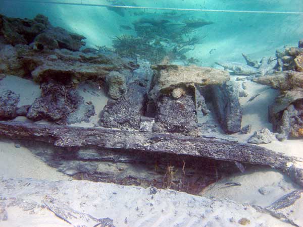 View of the Black Rock Wreck's keel, garboard and frames from starboard side.