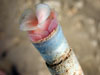 Close-up view of one of the undescribed species of Lamellibrachia that scientists discovered during last year's cruise.