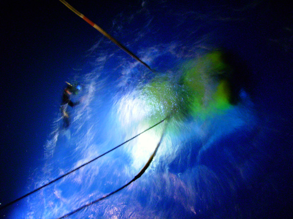 Fig. 1. Nick Caloyianis photographs collected animals in the ROV's canisters underwater before it is lifted aboard.