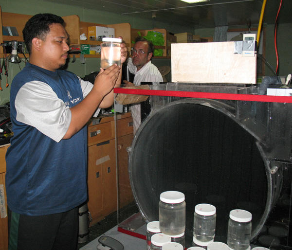 Joseph Rayos examines a collection jar