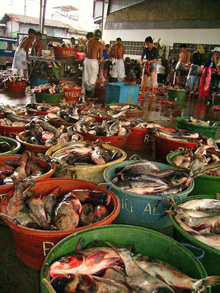 This is one vendor at the fish market that was selling 'Imelda' an important local food fish.