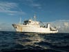 A slide show of what life aboard the Presbitero research vessel was like while searching for new species in the deep waters of the Celebes Sea.