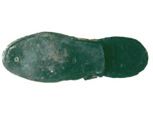 Personal items onboard the Cerberus, including this shoe, were effectively preserved for over 200 years under a protective layer of silt.