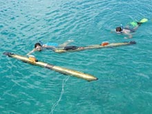 Hilary and Alex swimming along side the two Gavia AUVs, making last minute visual inspections.