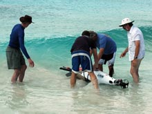 Bernard, Daniel, Mark, and Ken launch the Fetch AUV off the beach at the Invisibles dive site.