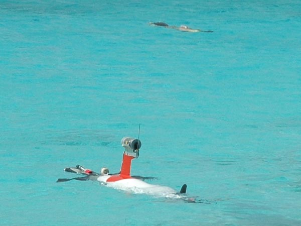 Fetch and Gavia AUVs simultaneously conducting survey missions at the Invisibles dive site.