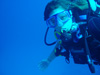 Ashley Schutt, a study abroad program student, diving off the coast of Bonaire.