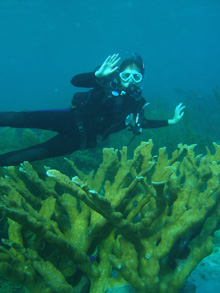 A future marine scientist with a nice colony of elkhorn coral.