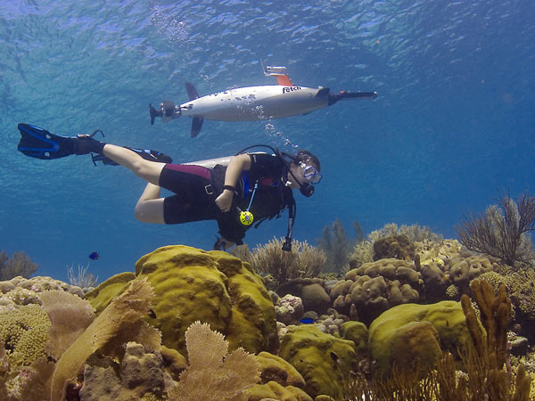 In 2008, we supported an expedition to use autonomous underwater vehicles (AUVs) and technical diving to explore Bonaire, Netherlands Antilles, one of the most pristine coral reef environments in the Caribbean, advancing innovative technologies to expand the scope and efficiency of exploration and collect information about a critical marine habitat.