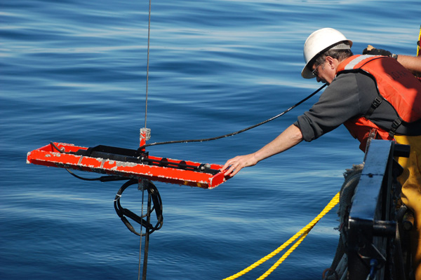 Out near the Isolated Sinkhole, Nathan Hawley recovers a transmissometer  (measures turbidity) from a previously deployed tripod.