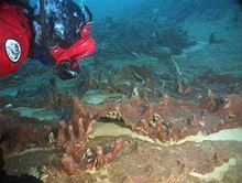 Microbial mats from Lake Hoare in Antarctica.