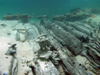 These large well-preserved timbers are the remains of the bottom of the hull. 