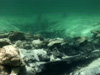 A close-up underwater video tour shows the portion of the wreck depicted in the site photo mosaic.