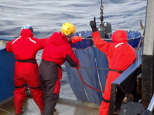 Elizaveta Ershova, Cornelia Jaspers, and Russ Hopcroft steady the 'bongo' plankton net package, while Russ motions to the winch operator to raise the net. The bongo nets are the primary way zooplankton are captured during the 2009 RUSALCA expedition.