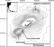 Maps of Bermuda showing its location in the North Atlantic (insert) and the orientation and structure of the four peaks comprising the Bermuda Islands and Pedestal along with the adjacent Argus, Challenger and Bowditch Seamounts.
