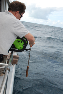 Dr. Rikk Kvitek prepares to deploy the ROV with a clump weight attached to help it descend faster.