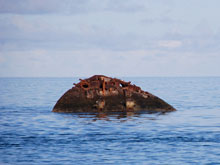 The wreck of the HMS Vixen, sunk during World War II to block the channel into Hamilton from German U-Boats.
