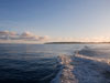 The wake of R/V Endurance leaving harbor in the early morning hours. 