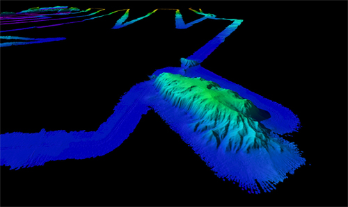 View a slide show of some of the Vailulu’u marine life collected by scientist diving in the Pisces V submersible.