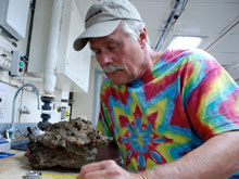 Collected specimen of brittle star, Asteroschema, with a parmuricid coral.