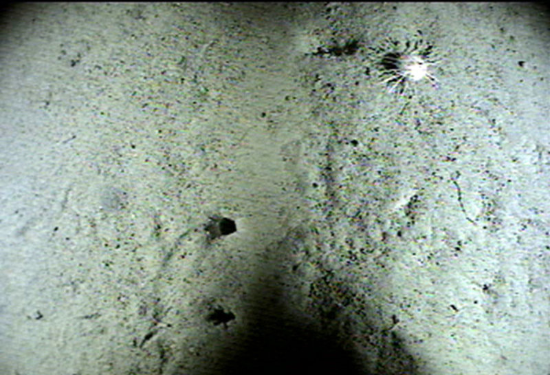 An image of the seafloor 2,600 m (8,530 ft) below the ship.