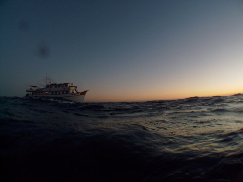 The Don Jose motor vessel as seen from the perspective of a surfacing diver.