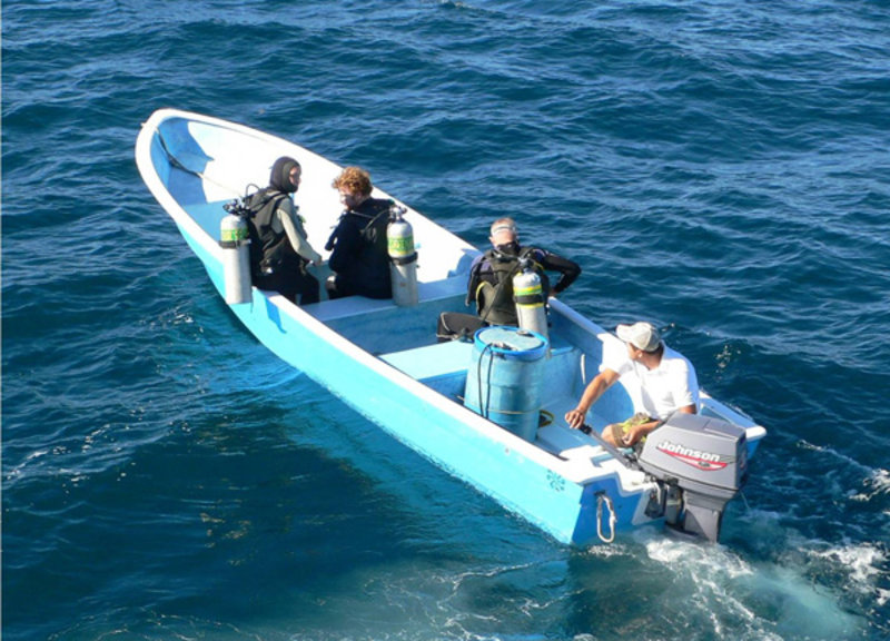 Divers being transported to a specific dive location on the skiff.