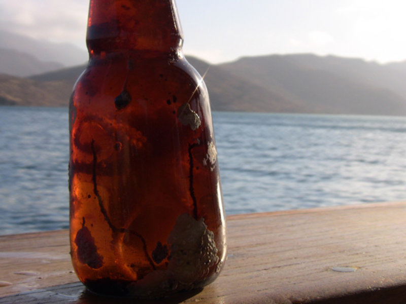 The dive crew collected this bottle from the sea floor to throw it in the trash; however, once we surfaced we realized that an octopus was hiding inside. After we took a picture we threw it back in the sea.