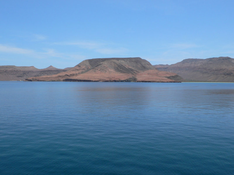 View of a large portion of our submerged research area with Isla Espiritu Santo in the background.